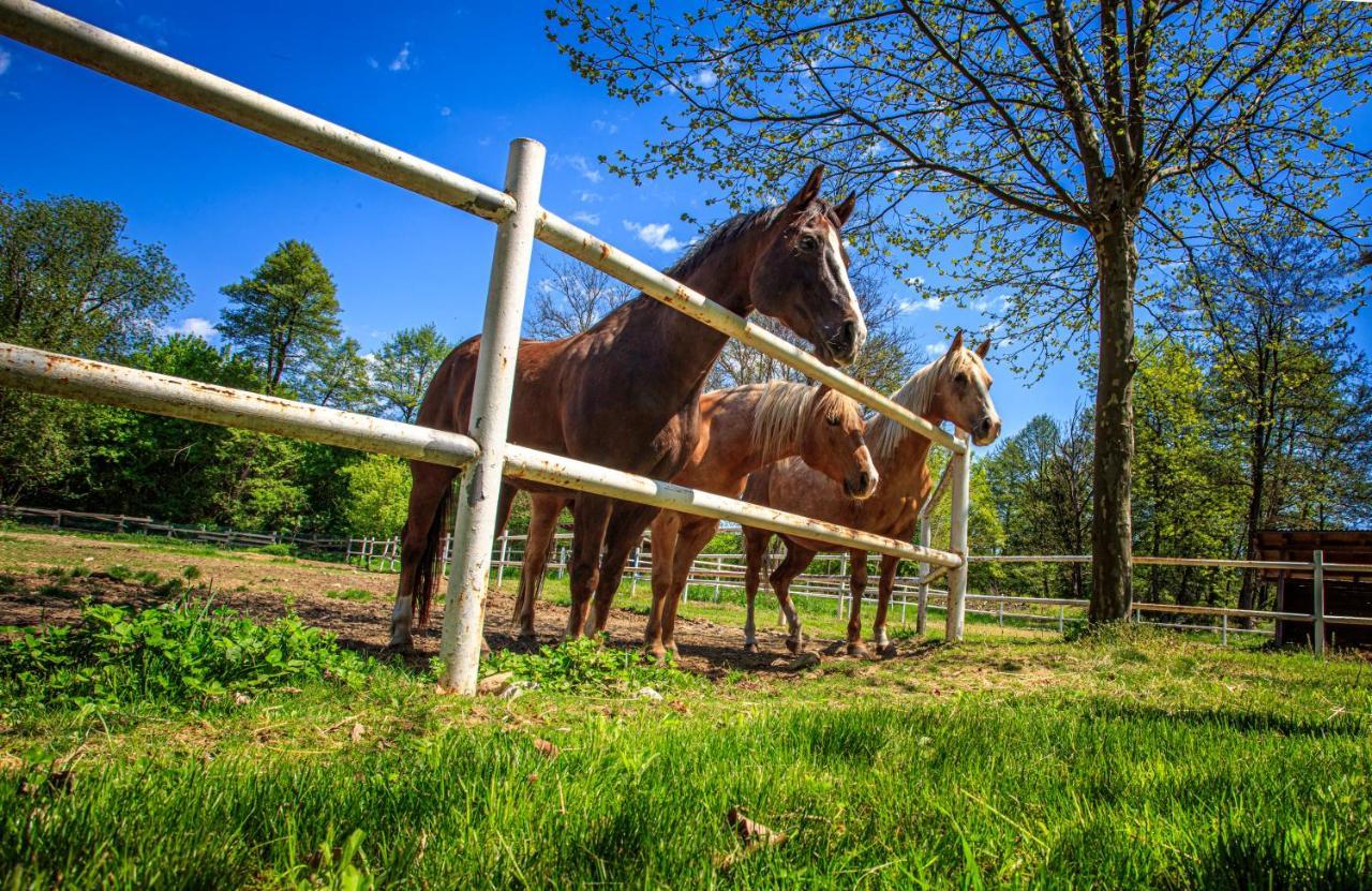 Вілла Amigosranch Крушевац Екстер'єр фото