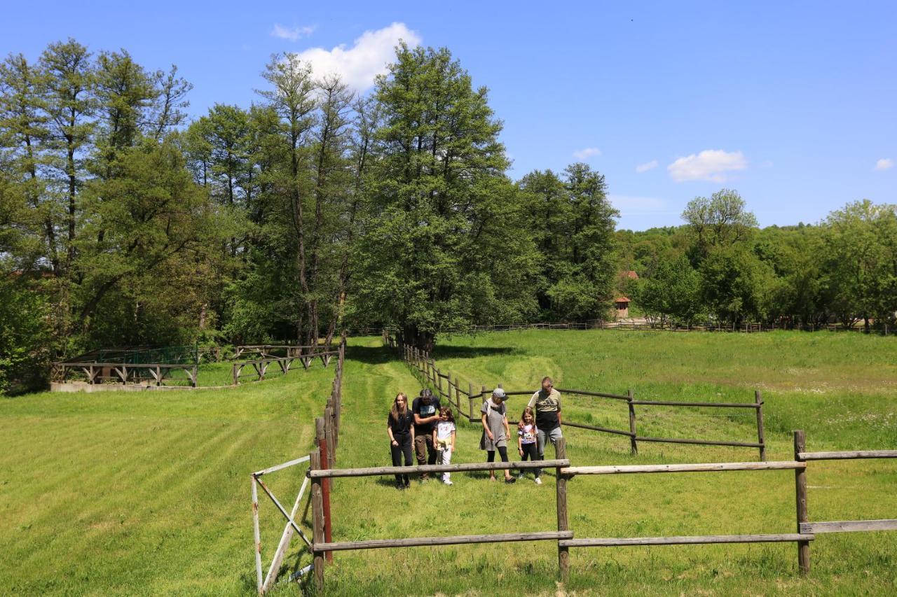 Вілла Amigosranch Крушевац Екстер'єр фото