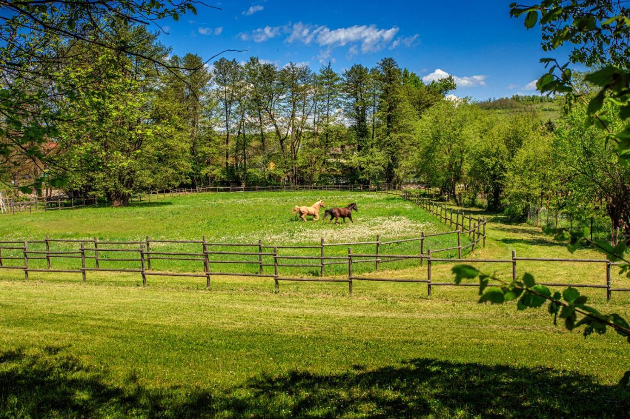 Вілла Amigosranch Крушевац Екстер'єр фото